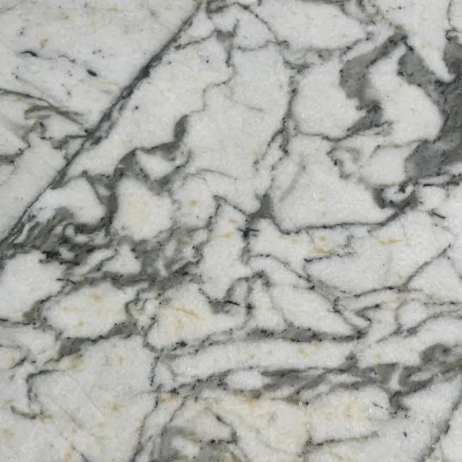 Persian Panda White 2